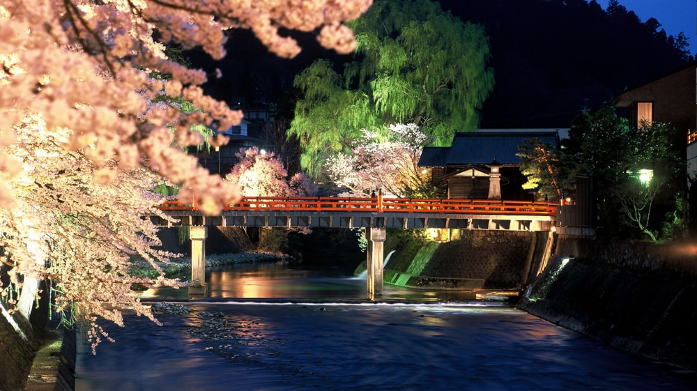 高山祭と桜