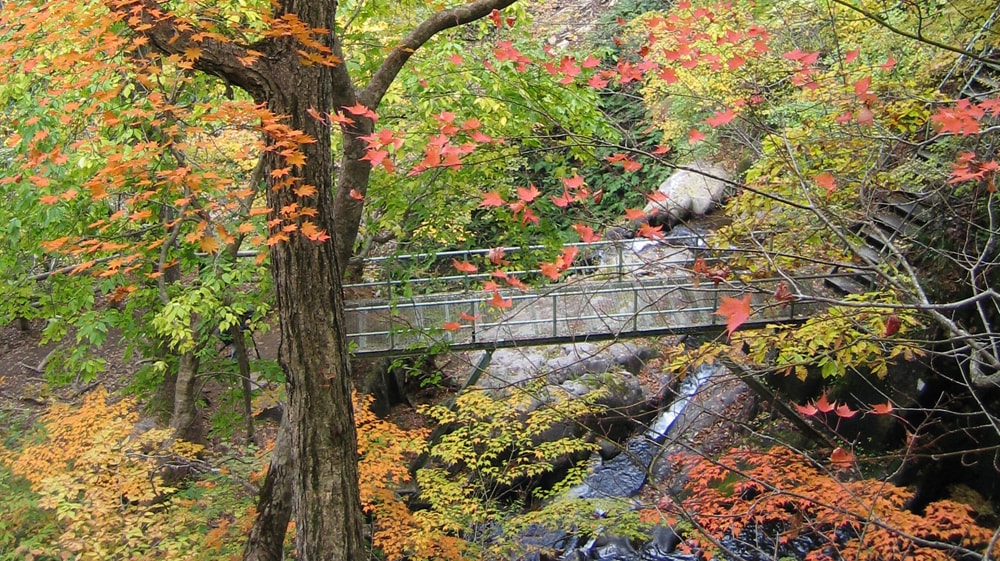 四十八滝と紅葉
