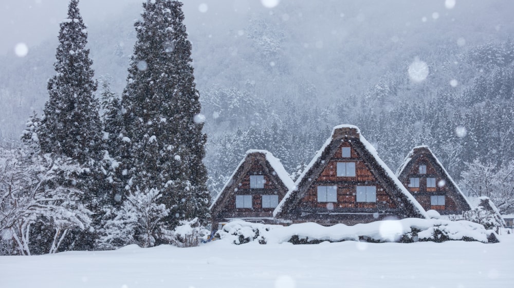 白川郷と雪