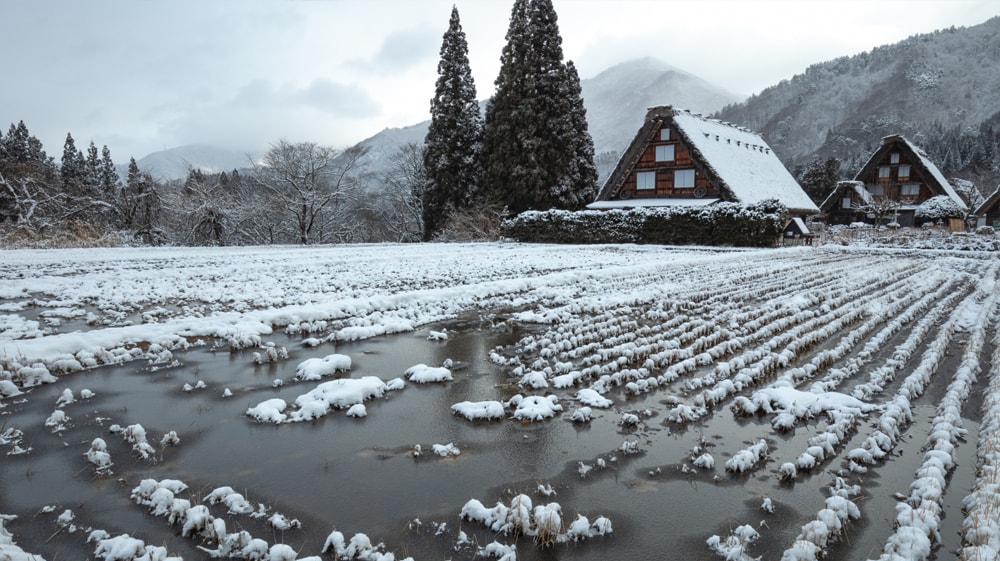 白川郷と雪